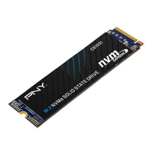 Ổ cứng SSD M2 PNY CS1031 M.2 2280 NVME PCIE Gen 3x4 500GB - Hình ảnh 3
