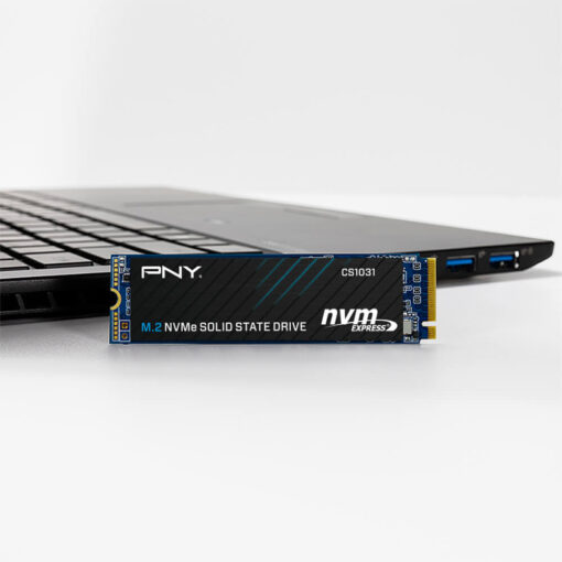 Ổ cứng SSD M2 PNY CS1031 M.2 2280 NVME PCIE Gen 3x4 500GB - Hình ảnh 2